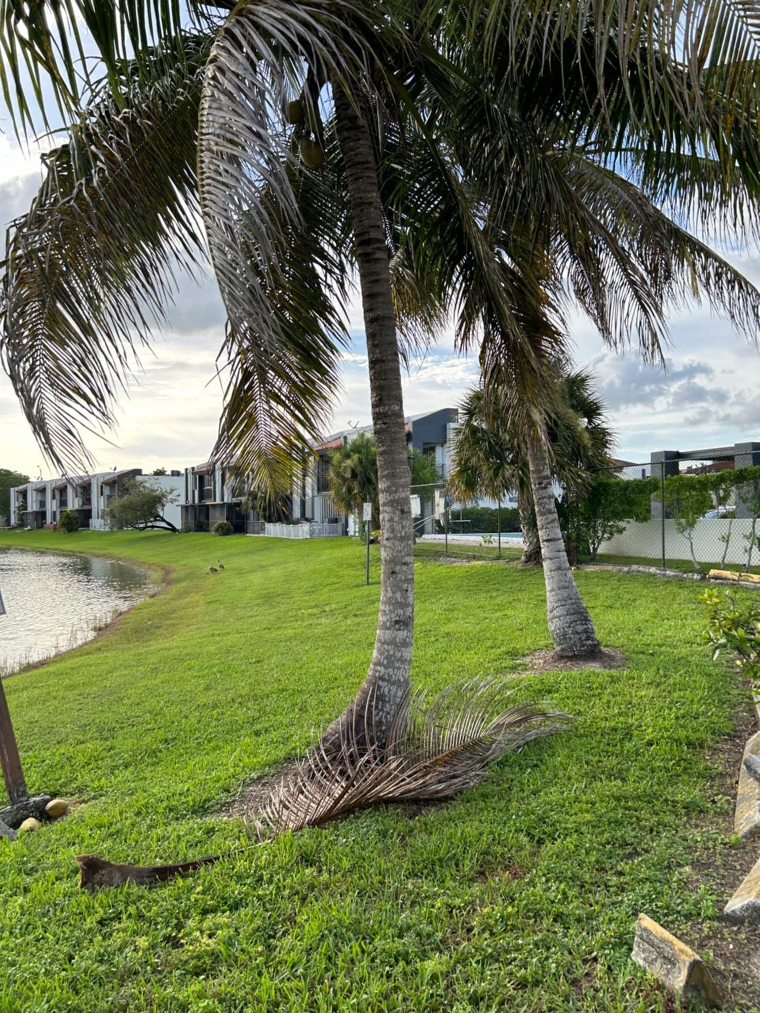 Beautiful Apartment With Very Elegant Colonial Decoration Tamiami Exterior photo